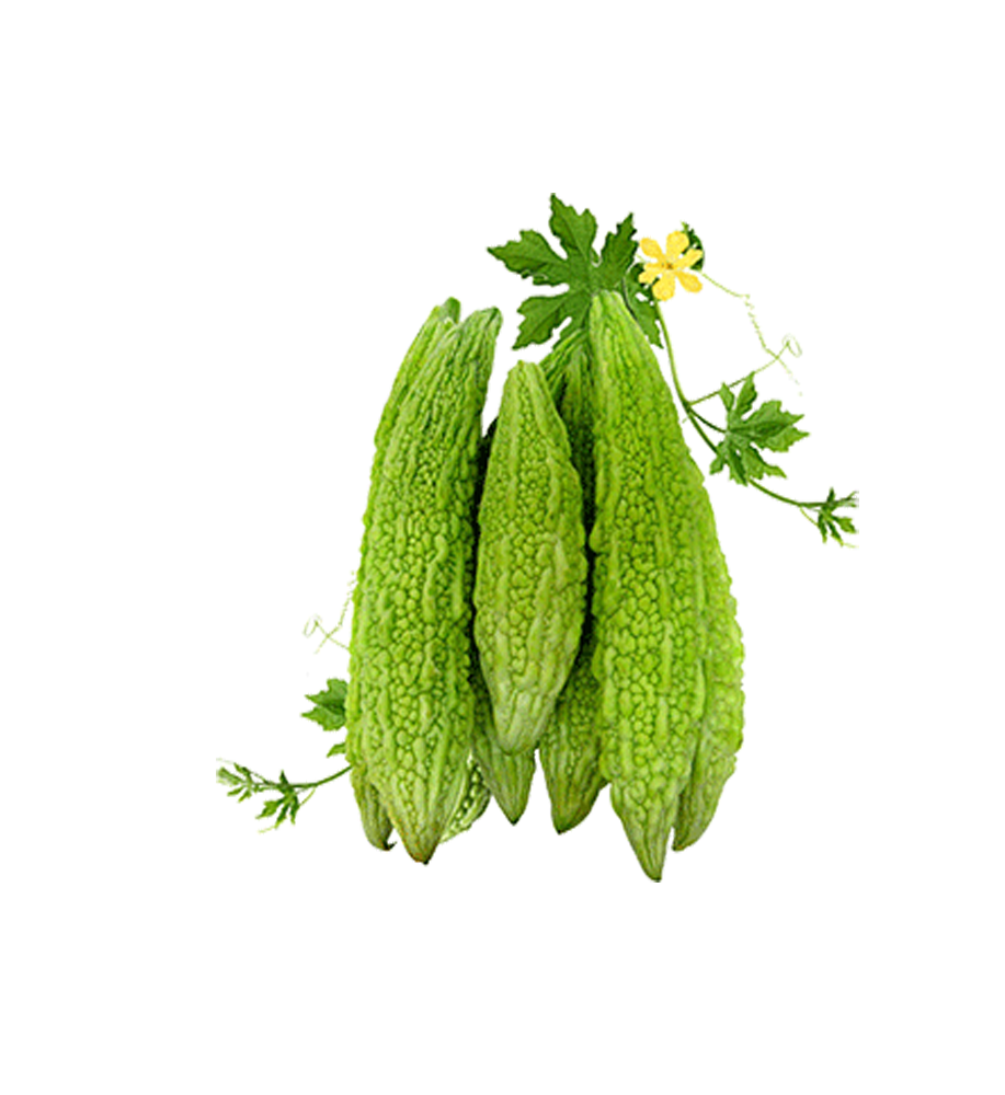 Product19
